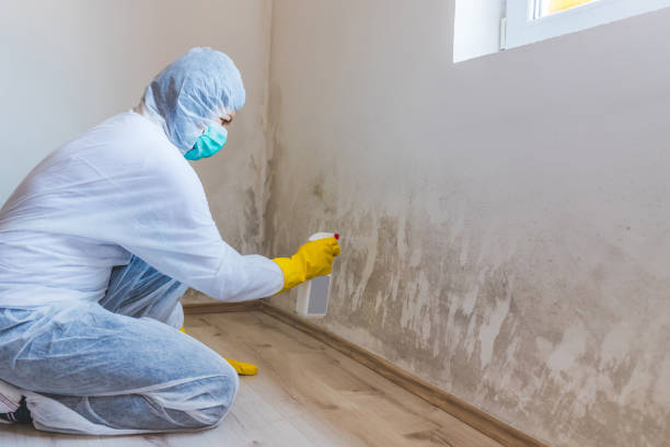 Hvac And Air Duct Mold Remediation inspection of HVAC system in Johnstown